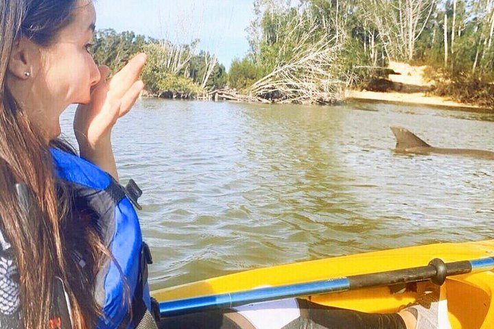 Dolphin & Manatee Kayaking Tour in Orlando Area - Photo 1 of 6